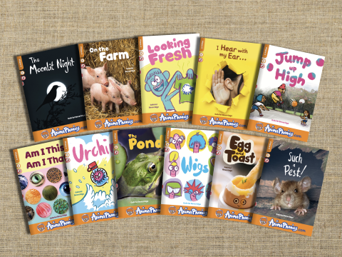 Phase 4 Decodable Books