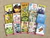 Phase 2-3 story books